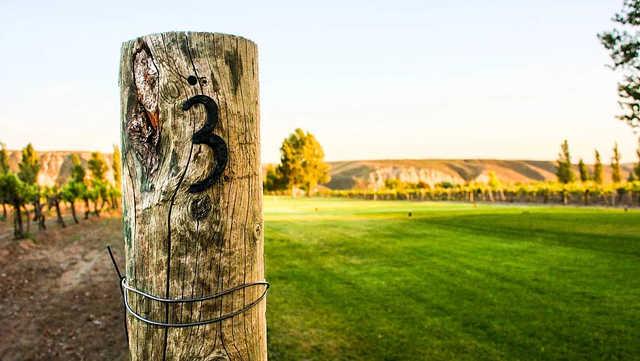 Carmela Vineyards Golf Course - photo 2