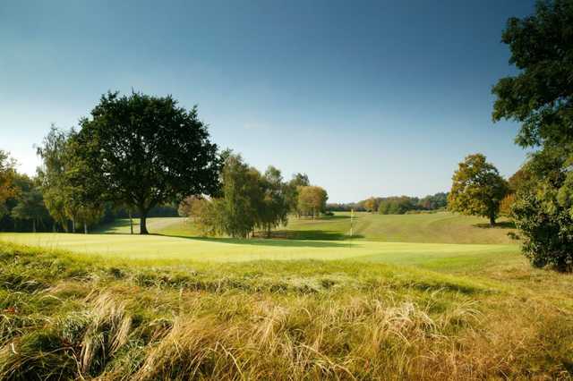 Welwyn Garden City Golf Club - photo 8