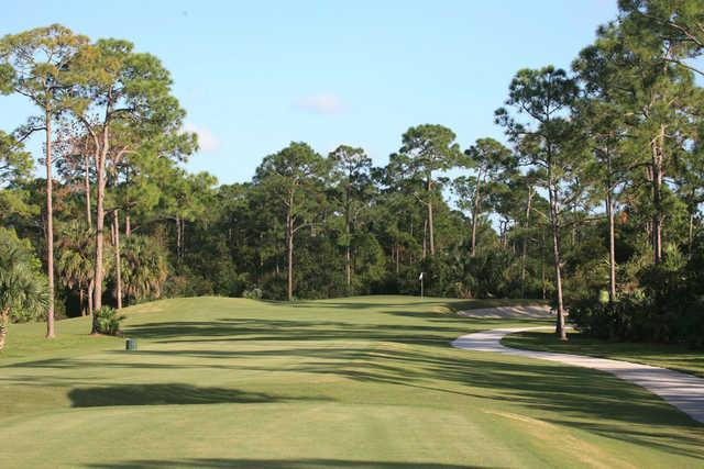 Sandhill Crane Golf Course - photo 5