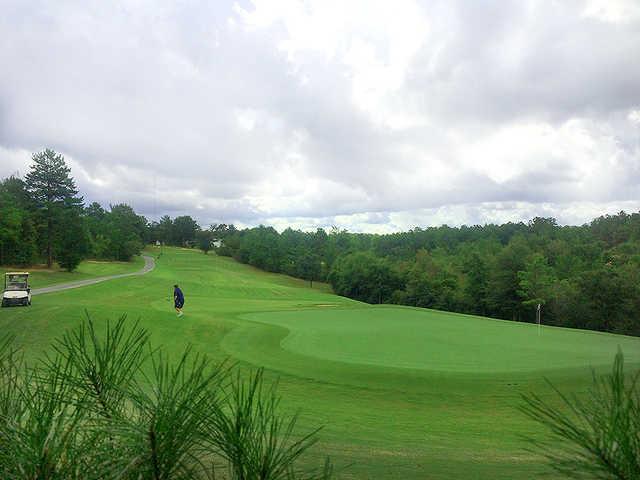 Blackstone Golf Course - photo 4