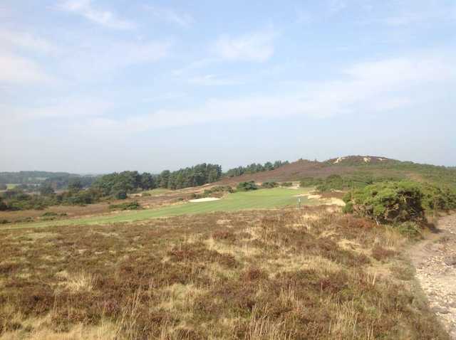 Isle Of Purbeck Golf Club - photo 5