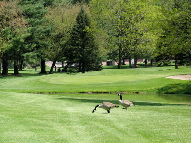 Little Apple Golf Course - photo 1
