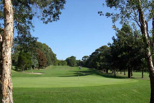 Balgowlah Golf Club - photo 3