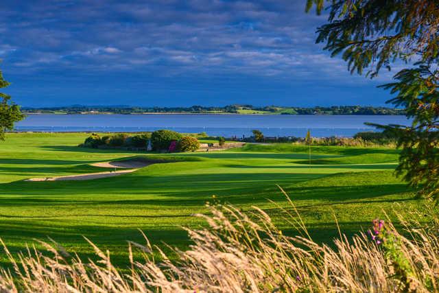 Shannon Golf Club