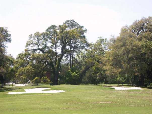 Jekyll Island Great Dunes - photo 2