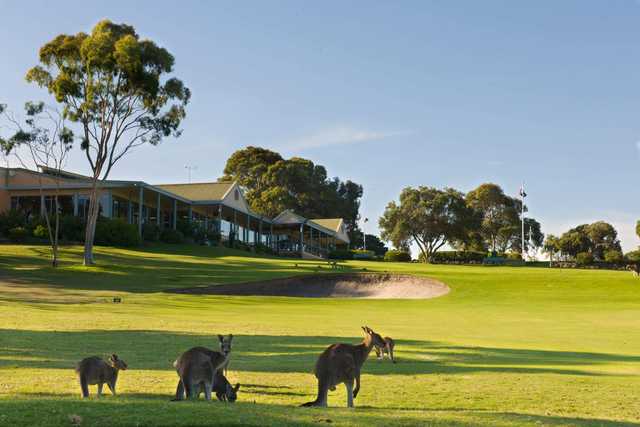 Anglesea Golf Club