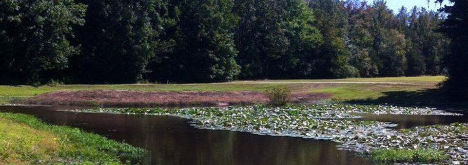 Riverland Country Club - 9 Holes - photo 3