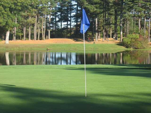 Swansea Country Club - photo 2
