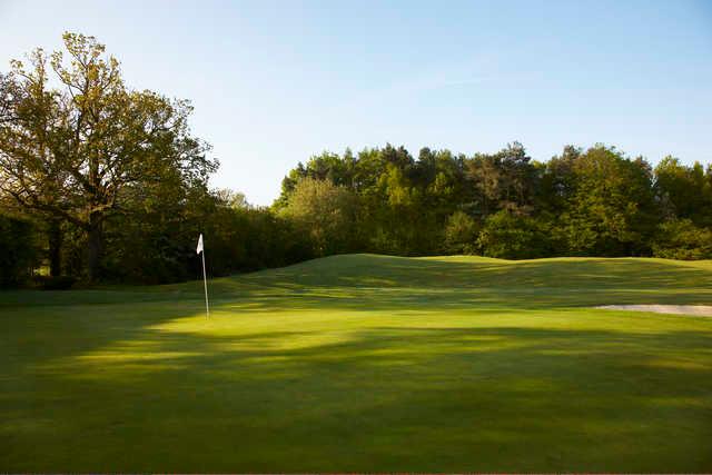 Lingfield Park Golf Club - photo 3