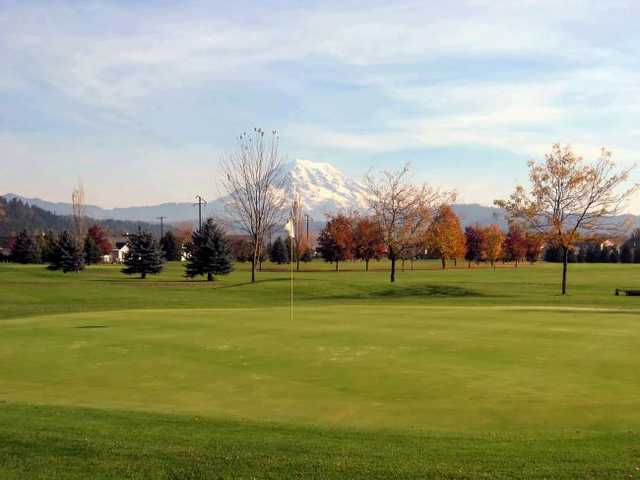 Executive Nine - photo 2