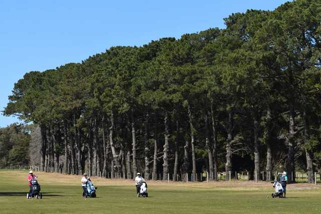 Portarlington Golf Club - photo 3