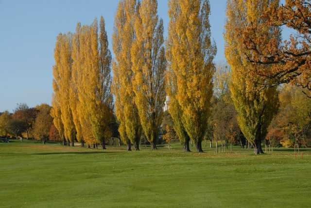 Calcot Park Golf Club - photo 4