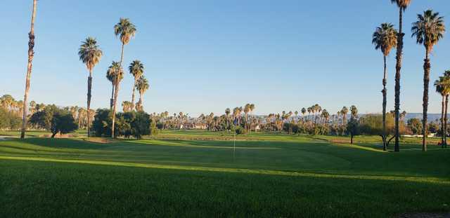 Mesquite - photo 3