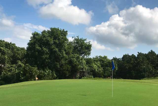 Lake Travis Golf Course - photo 3