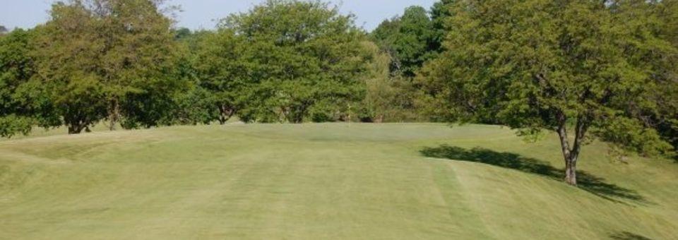 Browns Lake Golf Course - photo 4