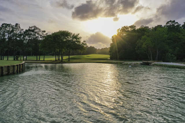 Tour 18 Houston Golf Course - photo 5