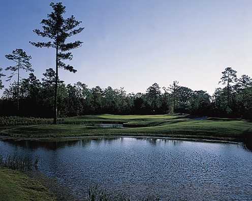 Eagle's Pointe Golf Club - photo 4