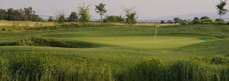 Wild Wings Golf Club - photo 6