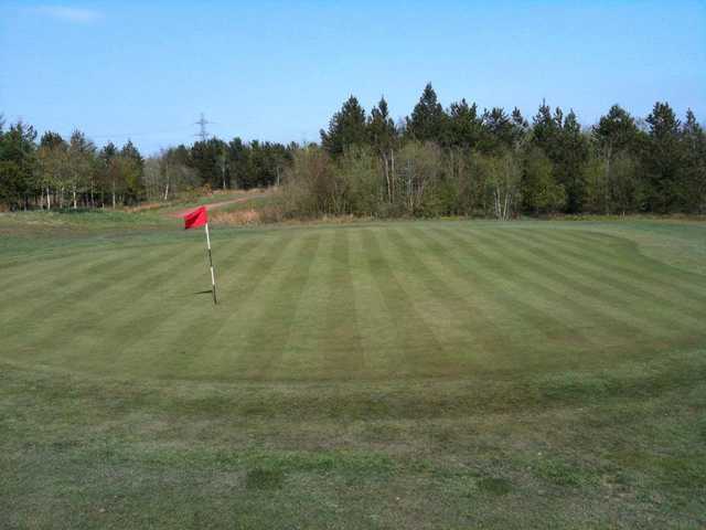 Torrance Park Golf Course - photo 2