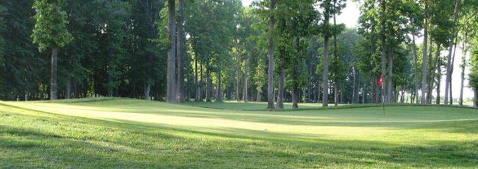 Pebble Creek Golf Club - photo 4