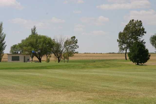 Country Club of Dimmit - photo 3