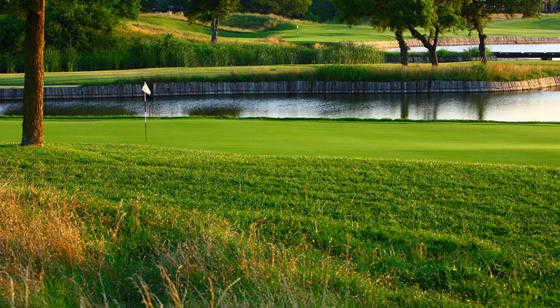Dallas Stars Country Club At Stonebridge - photo 4