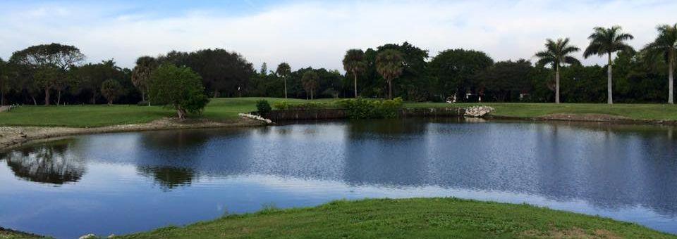 Eco Golf Club - photo 4