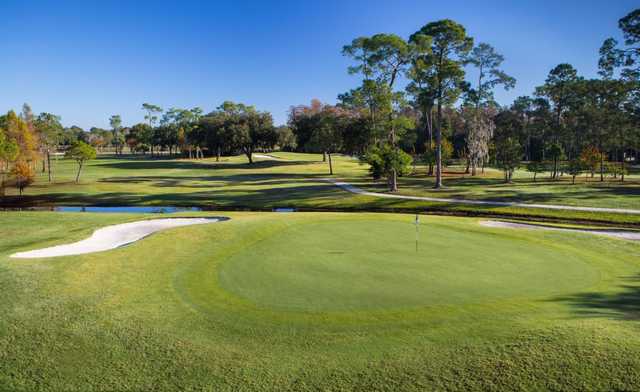 Rio Pinar Golf Club - photo 6