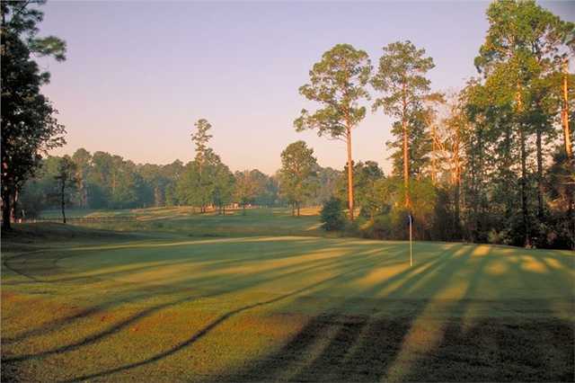 Brazell's Creek Golf Course - photo 2