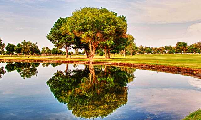 Odessa Country Club - photo 3