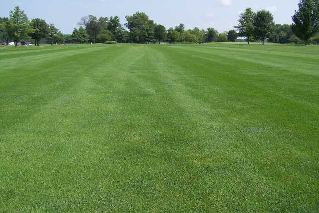 Moweaqua Golf Course - photo 2