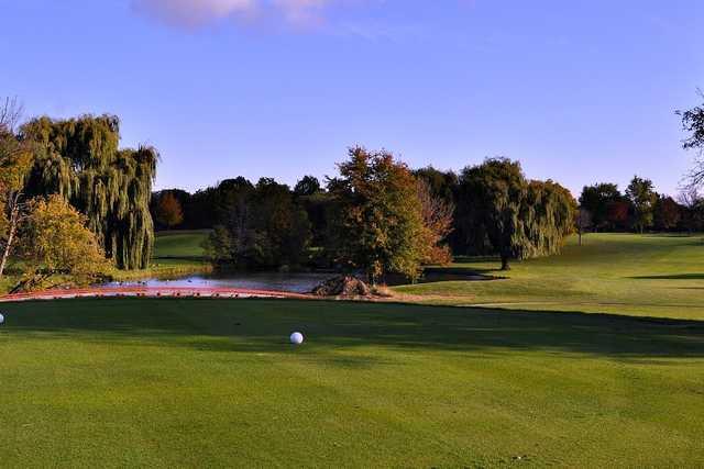 Clio Golf Course - photo 3