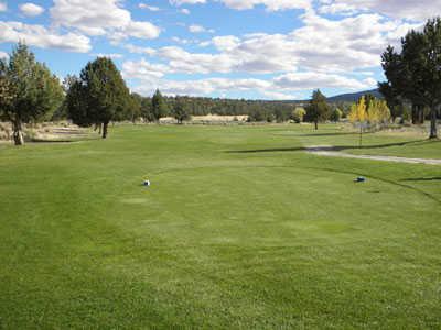 Likely Links & RV Park - photo 2