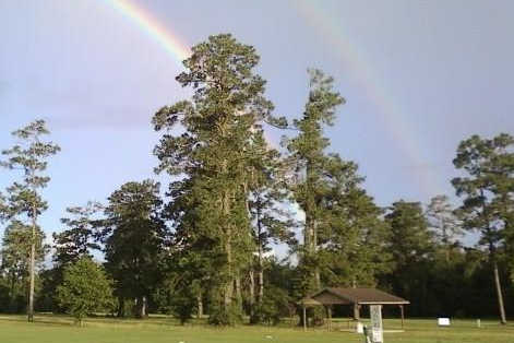 Pine Shadows Golf Course - photo 1