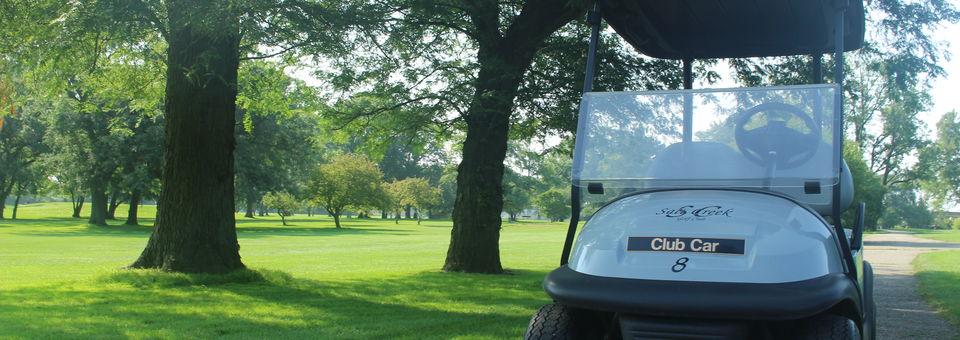 Salt Creek Golf Club - photo 4