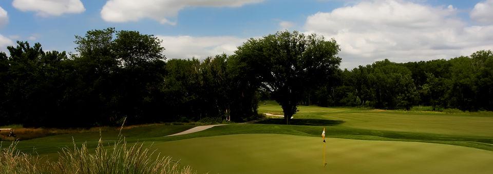 Sand Creek Station Golf Course - photo 8