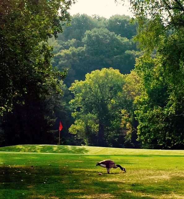 Sycamore Valley Golf Course