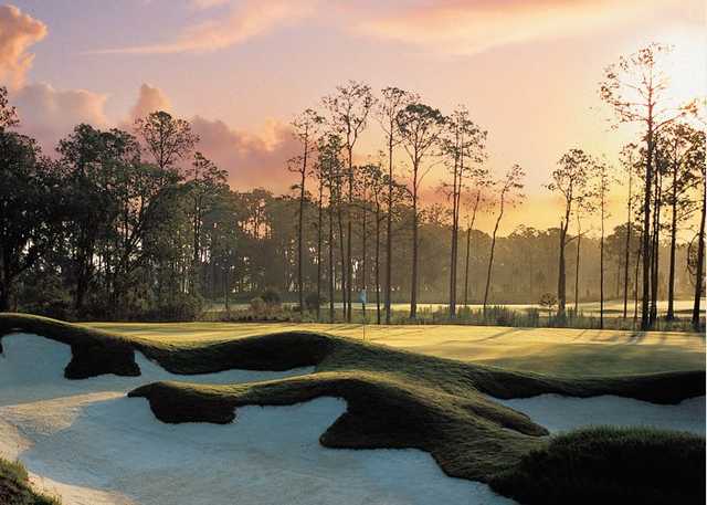 The Concession Golf Club - photo 4