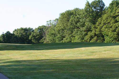 Sauganash - photo 4