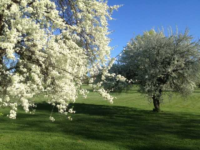 Oneida Community Golf Club - photo 2