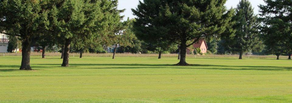 Little Pine Nine at Pine View - photo 2