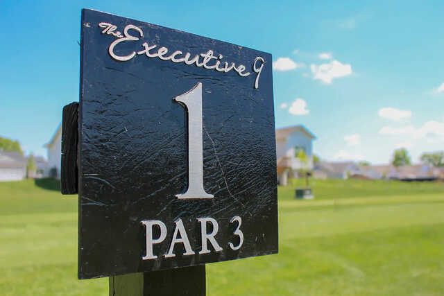Woodland Hills - The Executive 9