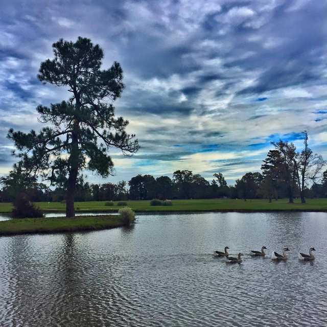 Longview Country Club - photo 2