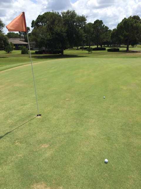 Golf Hammock Country Club - photo 2