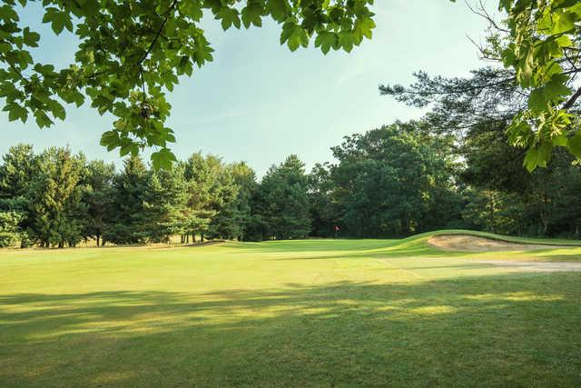 Stockwood Park Golf Centre - photo 2