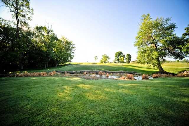 Whispering Springs Golf Club - photo 3