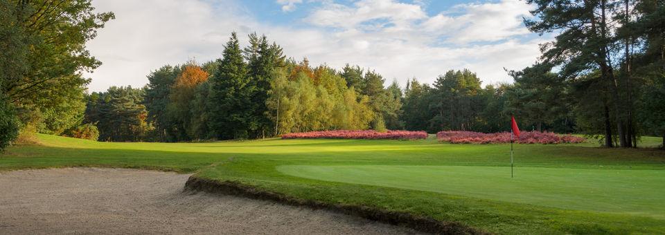 Tilgate Forest Golf Centre - photo 6