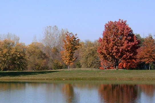 A H Blank Municipal Course - photo 4