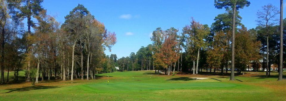 Northwoods Golf Club - The Spur Course - photo 8