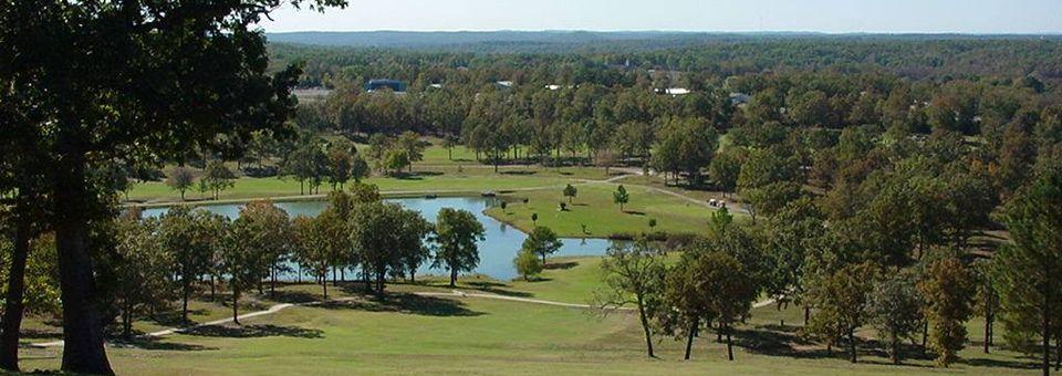 Turkey Mountain Golf Course - photo 2